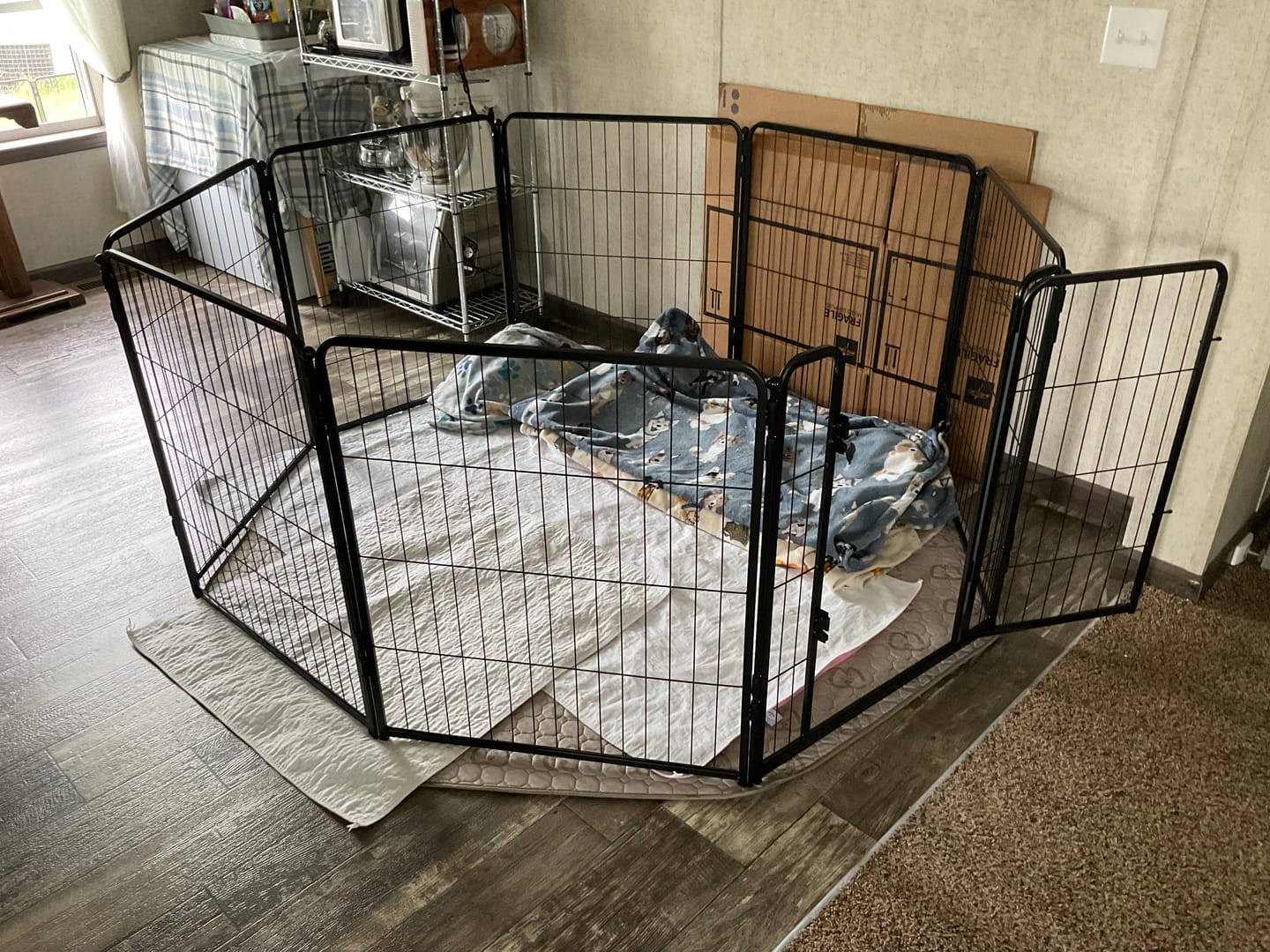 Customer photo review of Homeplus Dog Playpen for Indoor Use