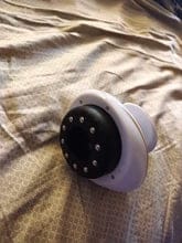 Customer photo review of Medusea Sculptor