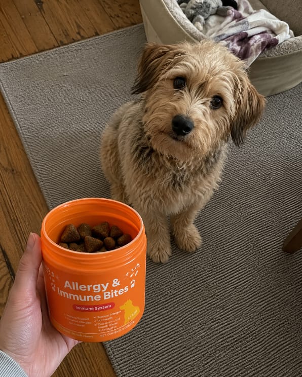 Customer photo review of Allergy & Immune Bites for Dogs
