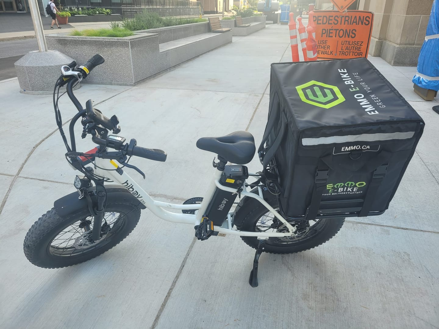 Customer photo review of EMMO Delivery Bag + Rack combo
