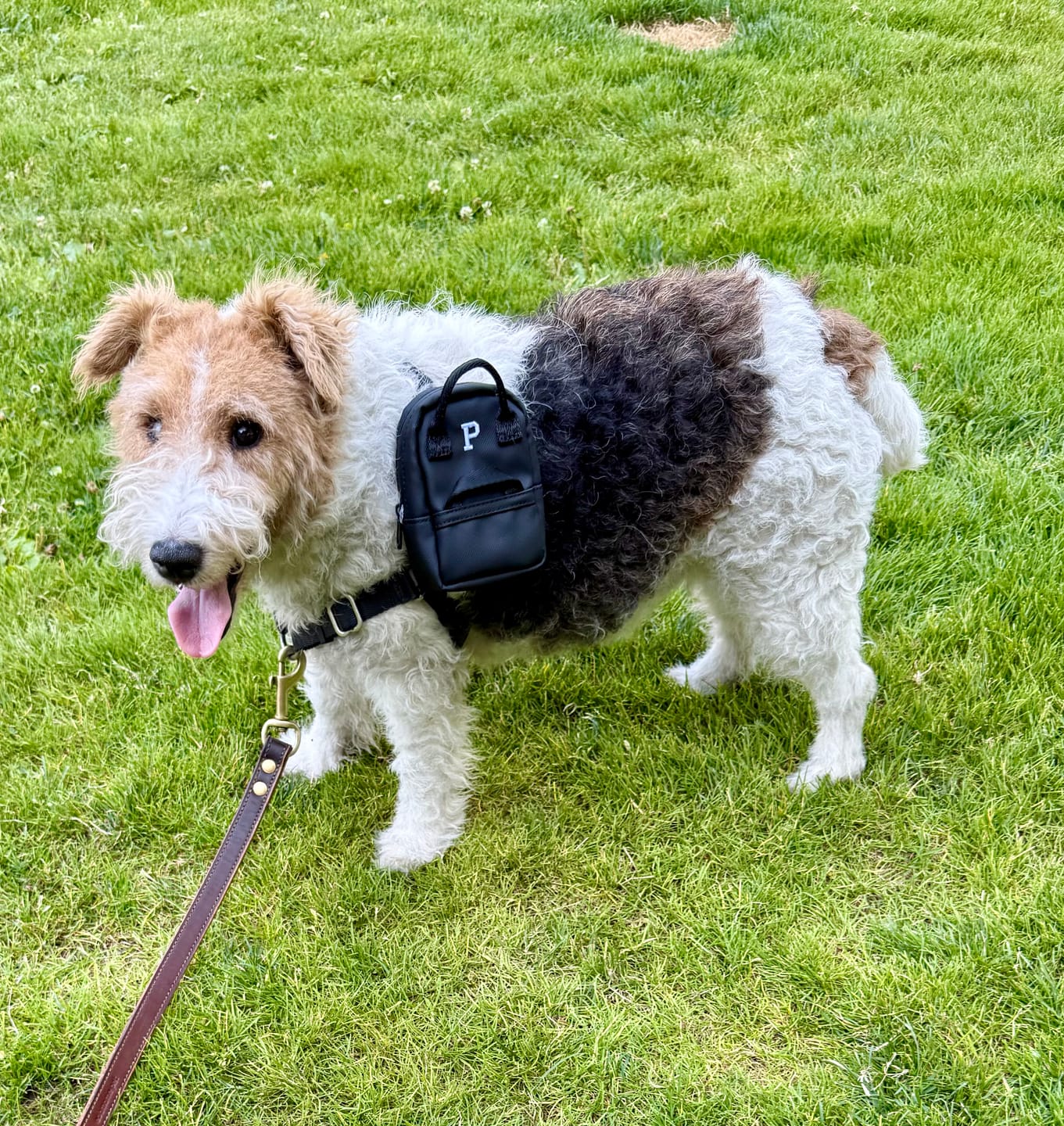 Customer photo review of Cascade Bag Charm - Backpack