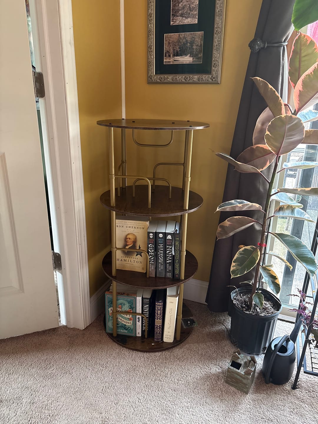 Customer photo review of Flycity 3-5 Tier Rotating Bookshelf With 360° Spinning Display