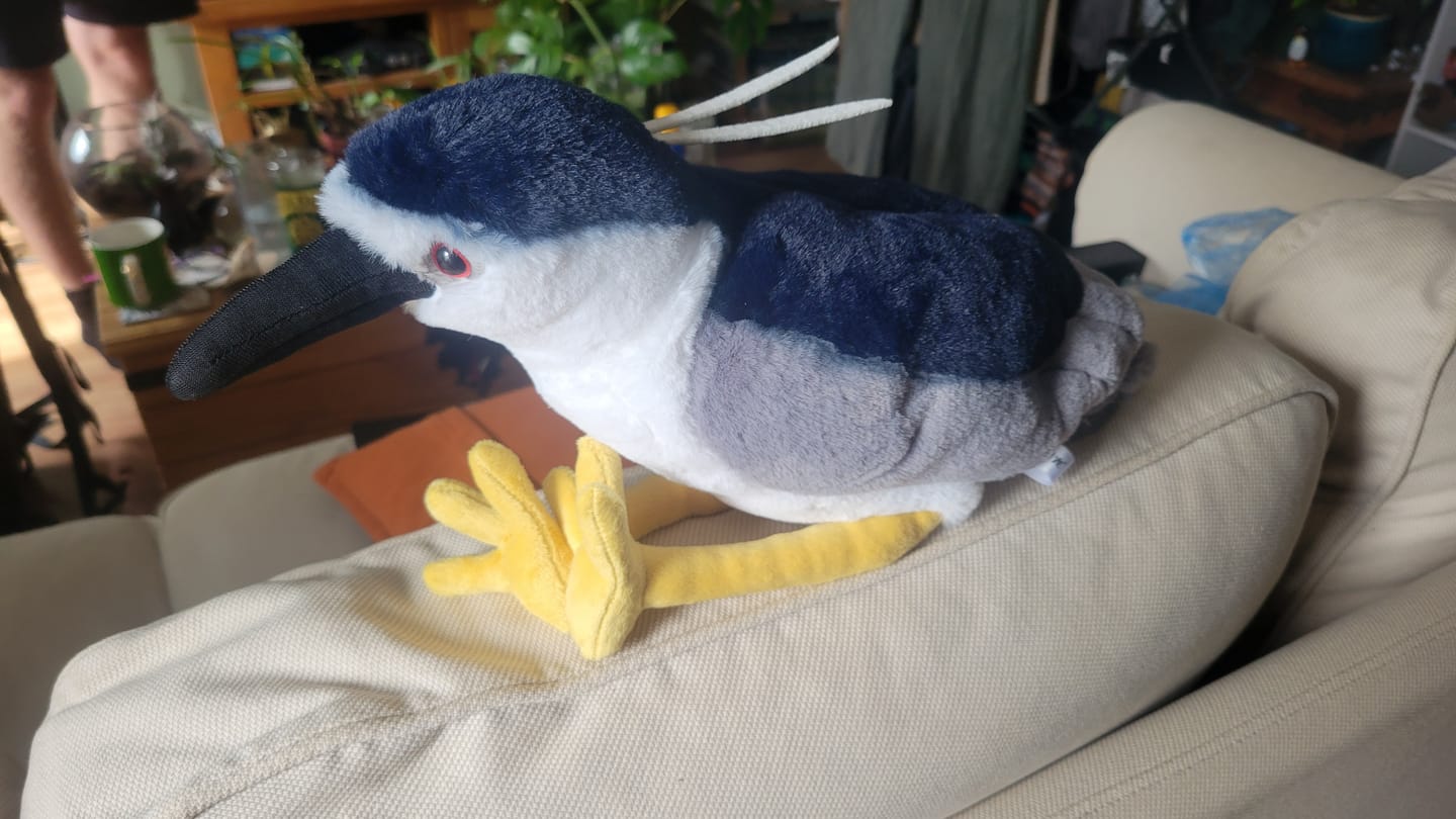 Customer photo review of Night Herron Bird Soft Stuffed Plush Toy