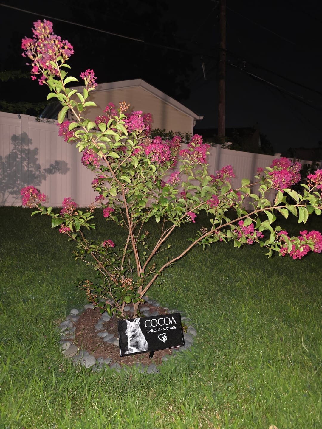 Customer photo review of Outdoor Garden stake Simple Elegant Pet Memorial Plaque