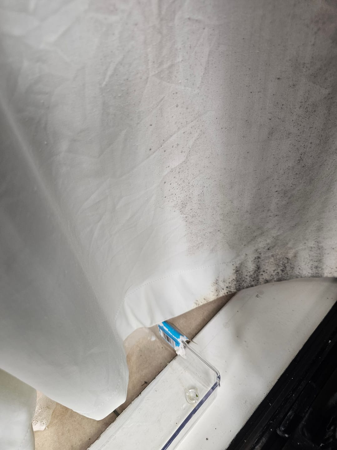 Customer photo review of Curtain Wizard Instant Mould & Mildew Remover