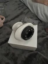 Customer photo review of Medusea Sculptor