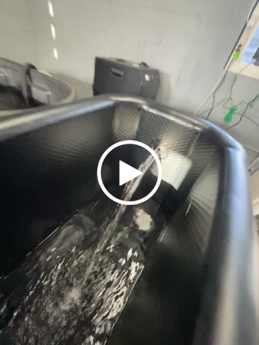 Customer video review of 1 HP Pro+ Chiller