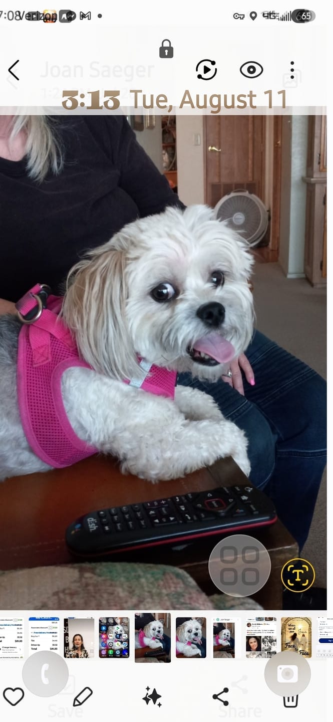 Customer photo review of 6 Inch Standard Bully Stick