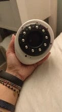 Customer photo review of Medusea Sculptor