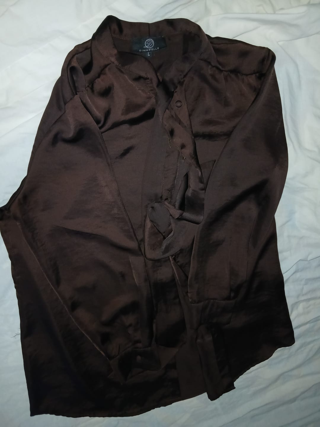 Customer photo review of Chemise soie satinée à col lavallière