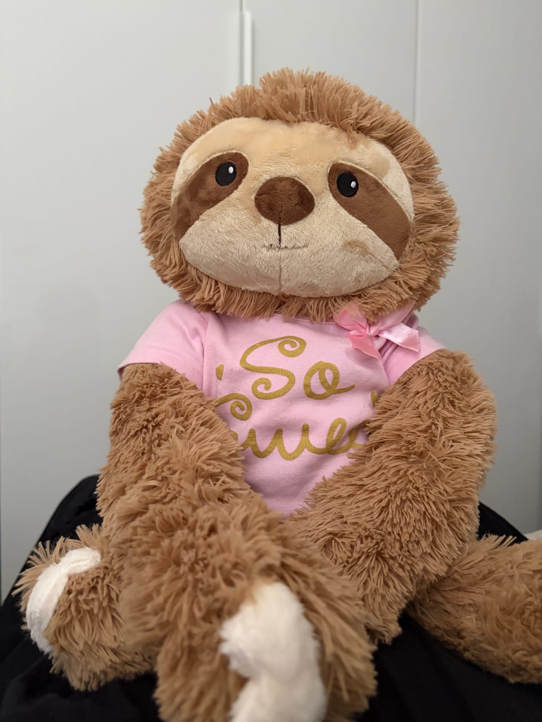 Customer photo review of Lotgenootje Luiaard 2,5kg