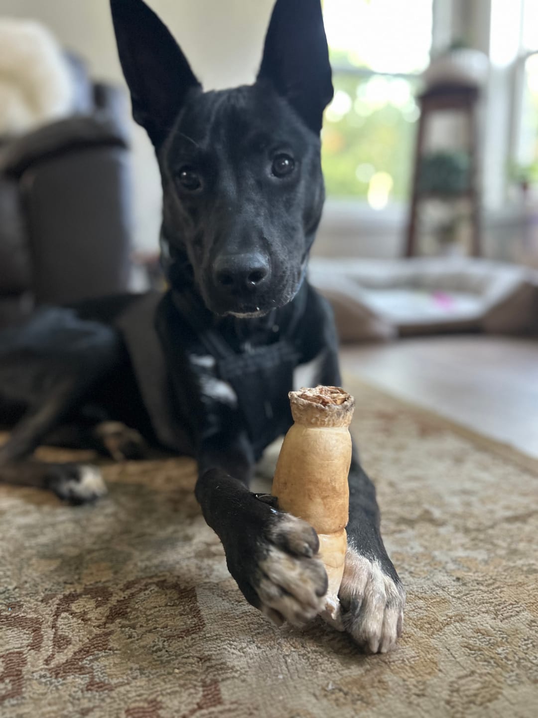 Customer photo review of 10-12 Inch Peanut Butter Cheek Roll
