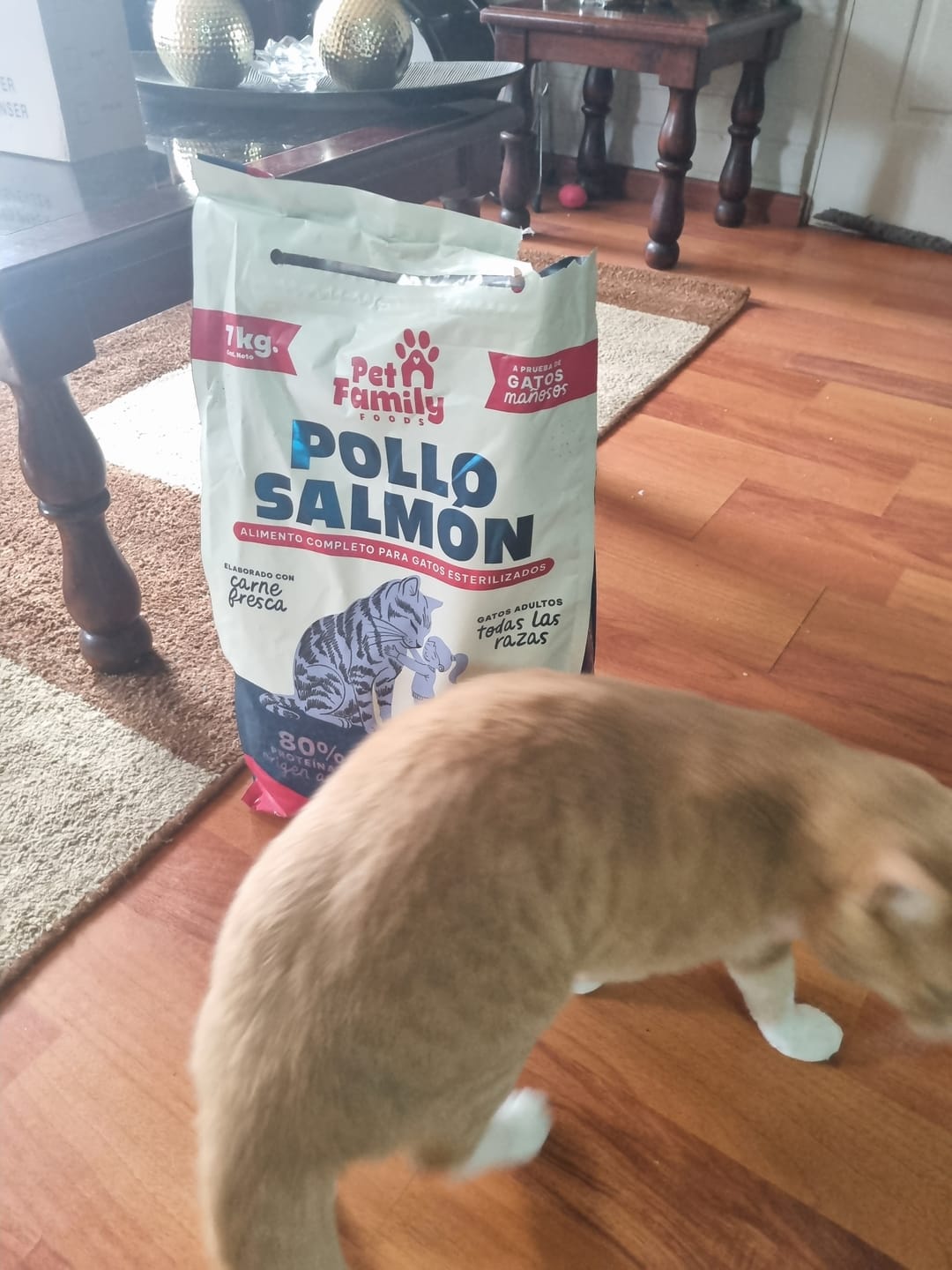 Customer photo review of PetFamily Foods Cerdo Nordico