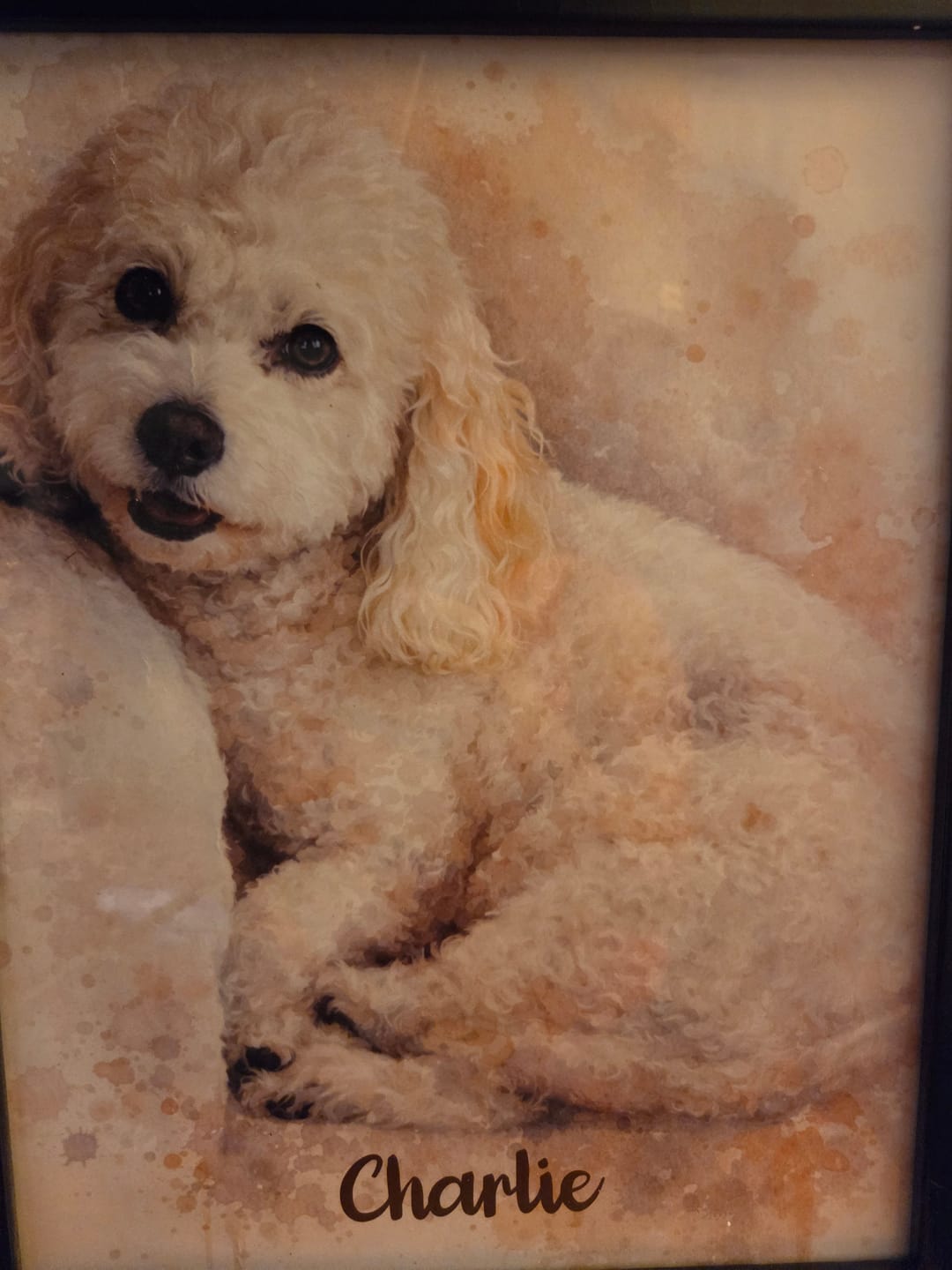 Customer photo review of Personalized Poster - Watercolor Realistic Portrait