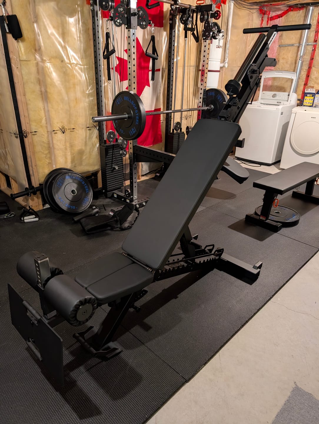 Customer photo review of APEX NORDIC MAX