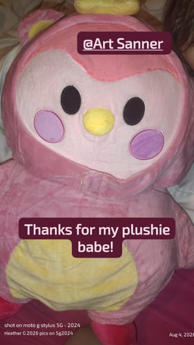 Customer's pink Finch Plushie, a soft bird-shaped toy, resting on a bed.