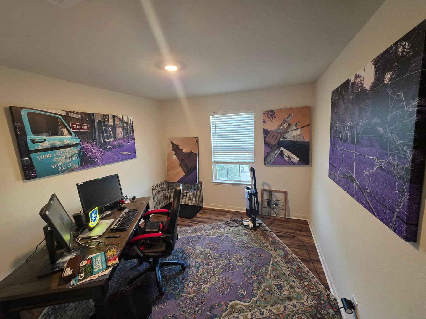 Customer photo review of Create Your Own Canvas Set - Wide Landscape