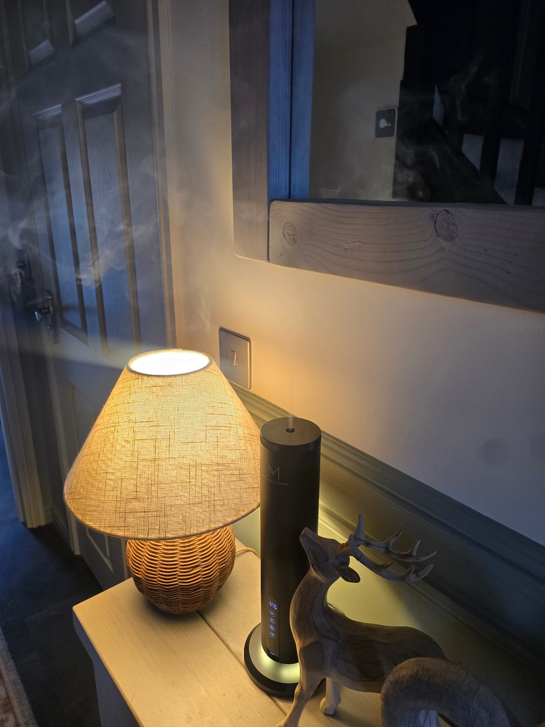 Customer photo review of LumaMax – The Most Premium Waterless Diffuser on the Market