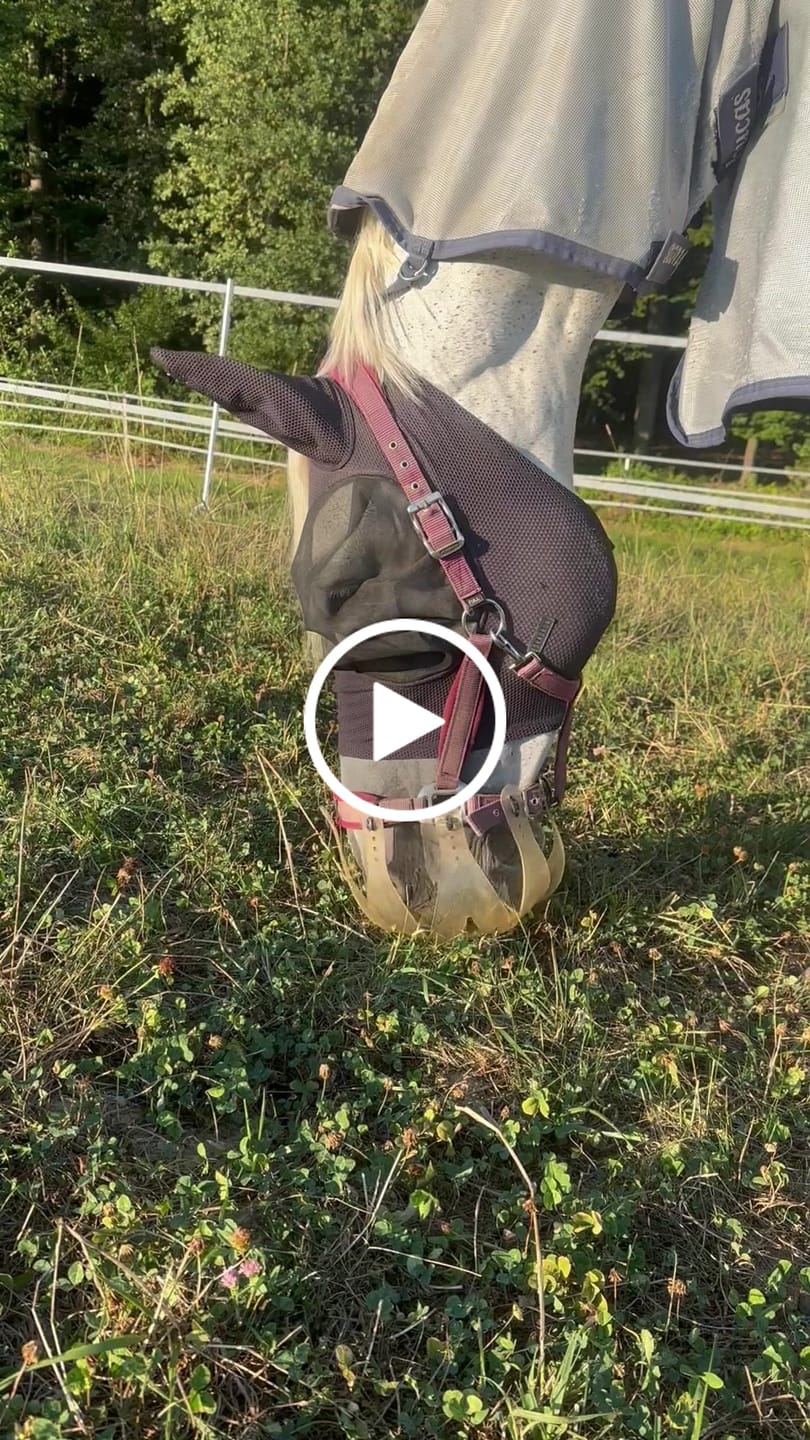 Customer video review of ThinLine Flexible Fressbremse