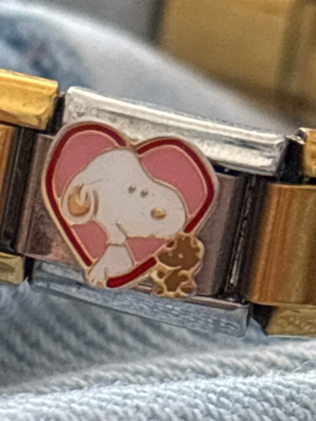 Customer photo review of Charm Perrito Corazón