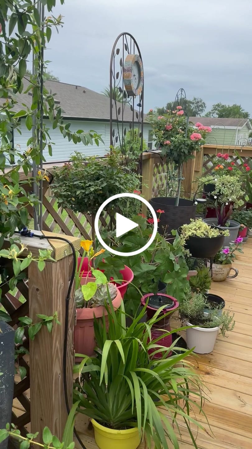 Customer video review of Padua Fountain Tower