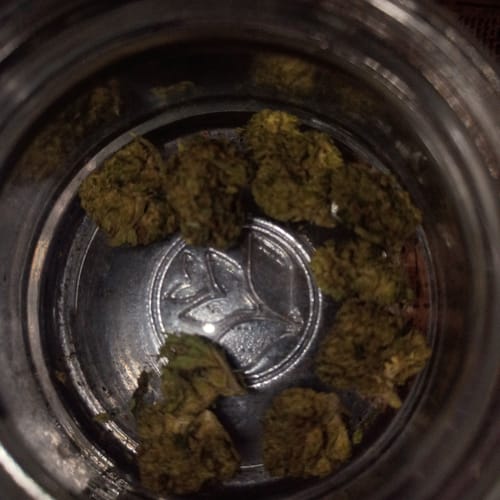 Heavy OG - Minis - 28 Grams - Indica photo review