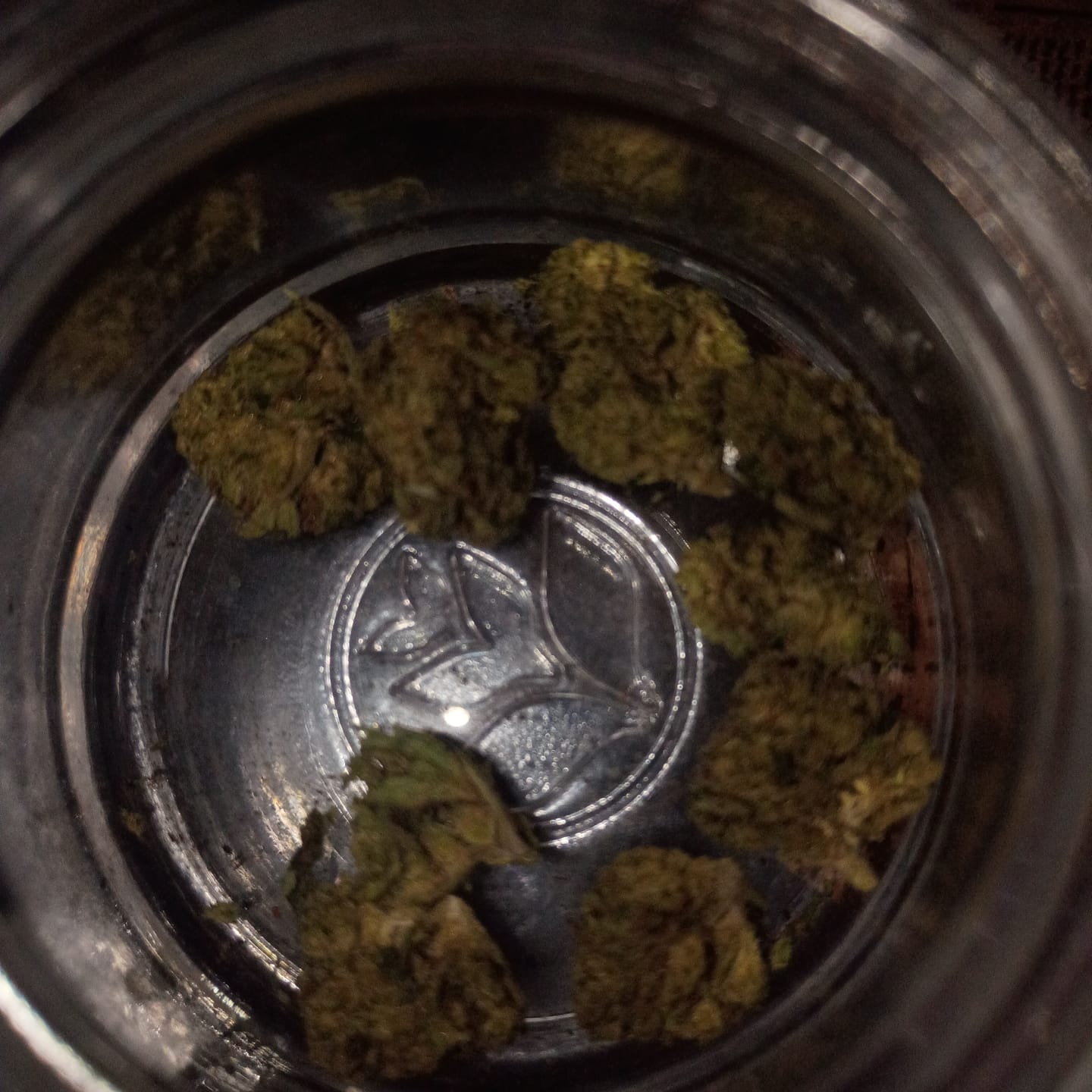 Customer photo review of Heavy OG - Minis - 28 Grams - Indica