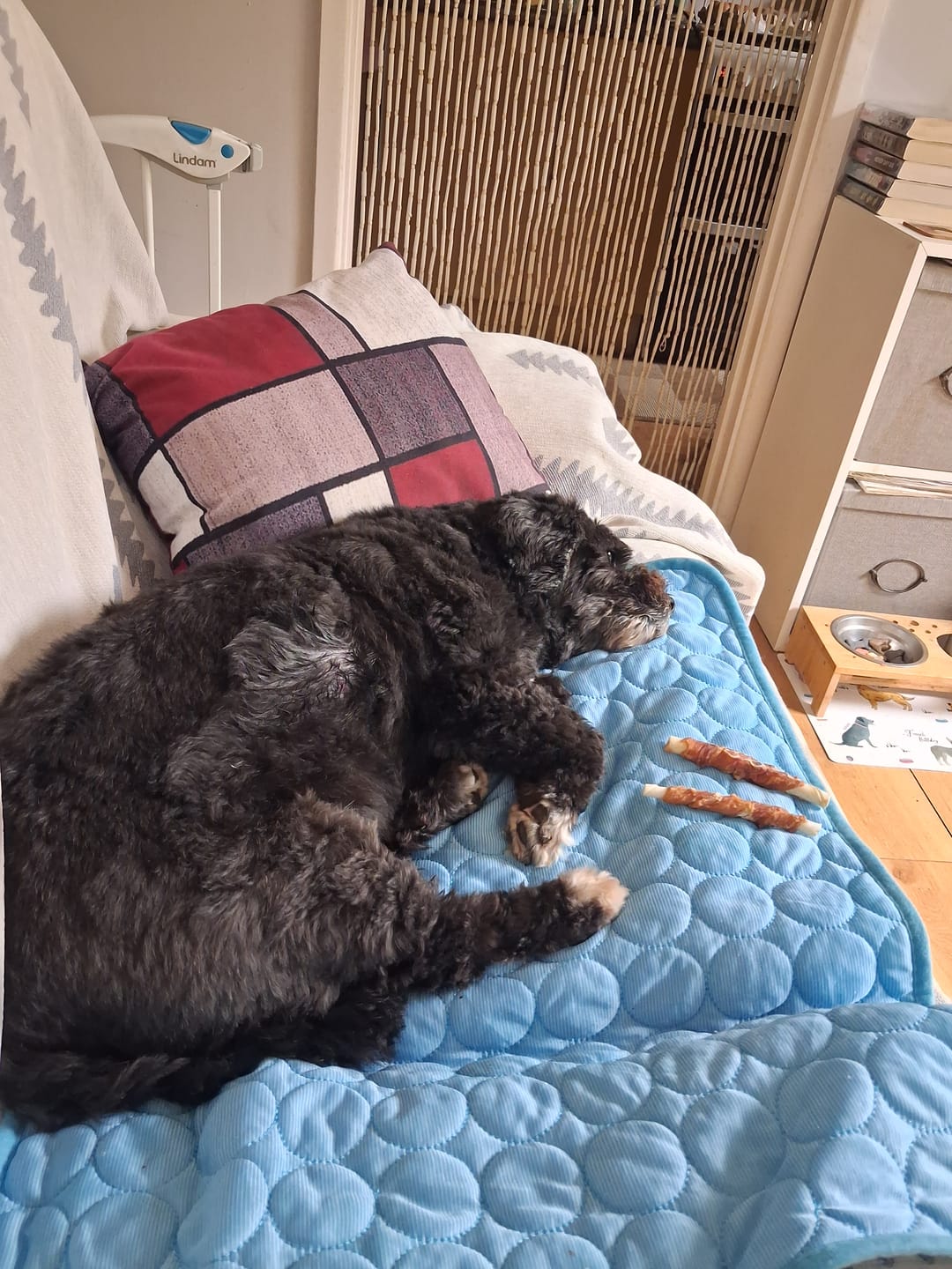 Customer photo review of The Ultimate Cooling Pet Mat