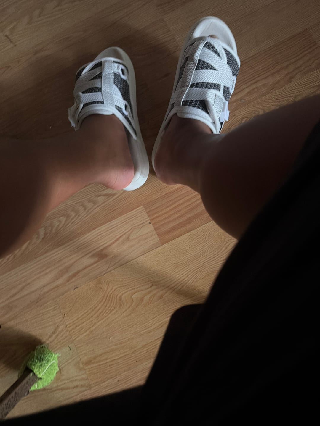 Customer photo review of Reflective DracoSlides