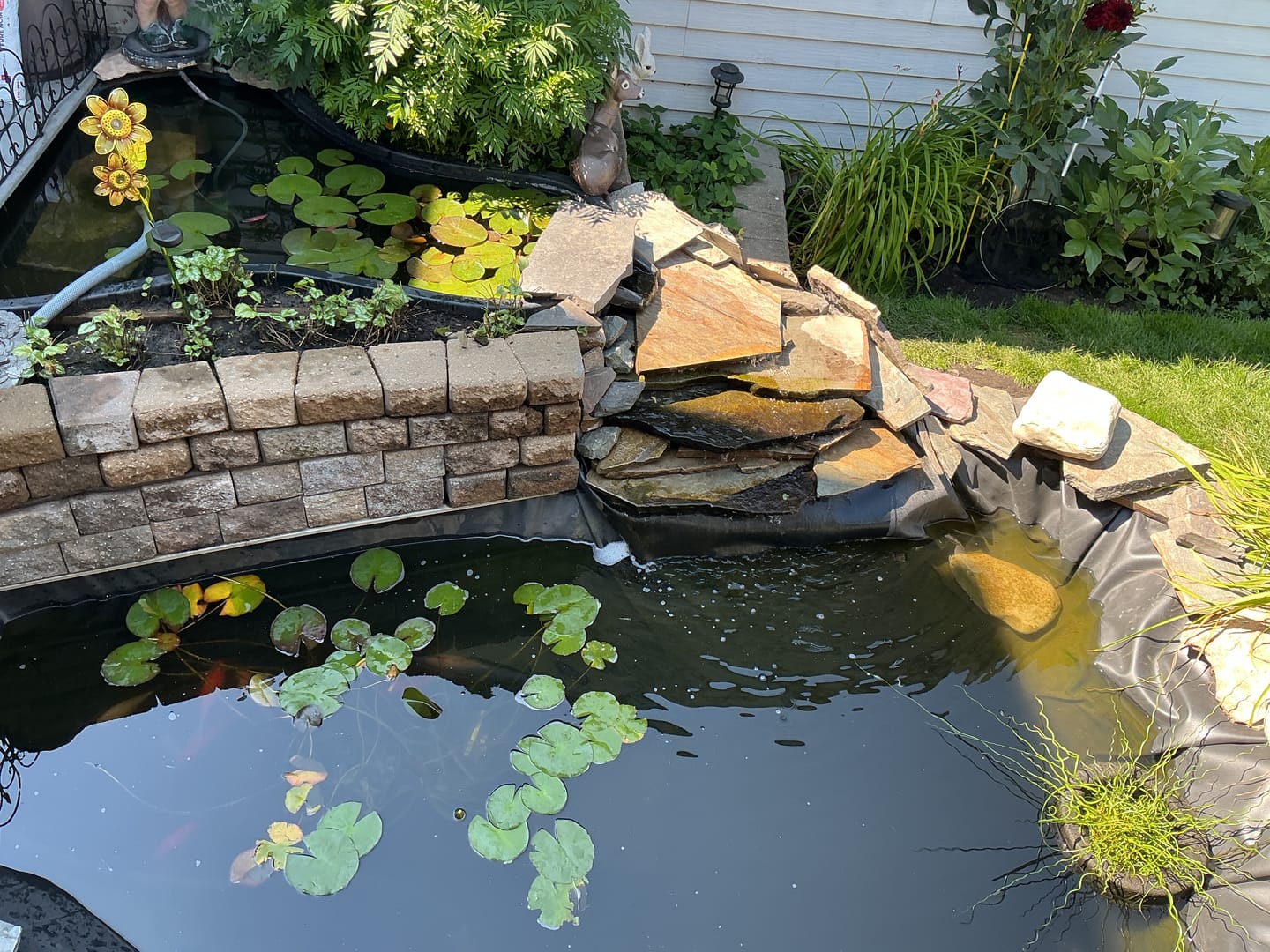 Customer photo review of Pond Liner 45 mm - 20' Wide (Sold Per Linear Foot)