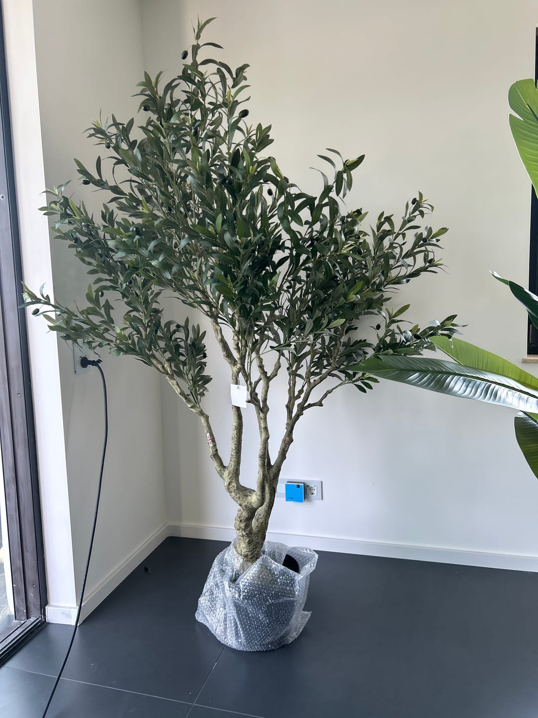 Customer photo review of Künstlicher Olivenbaum 190