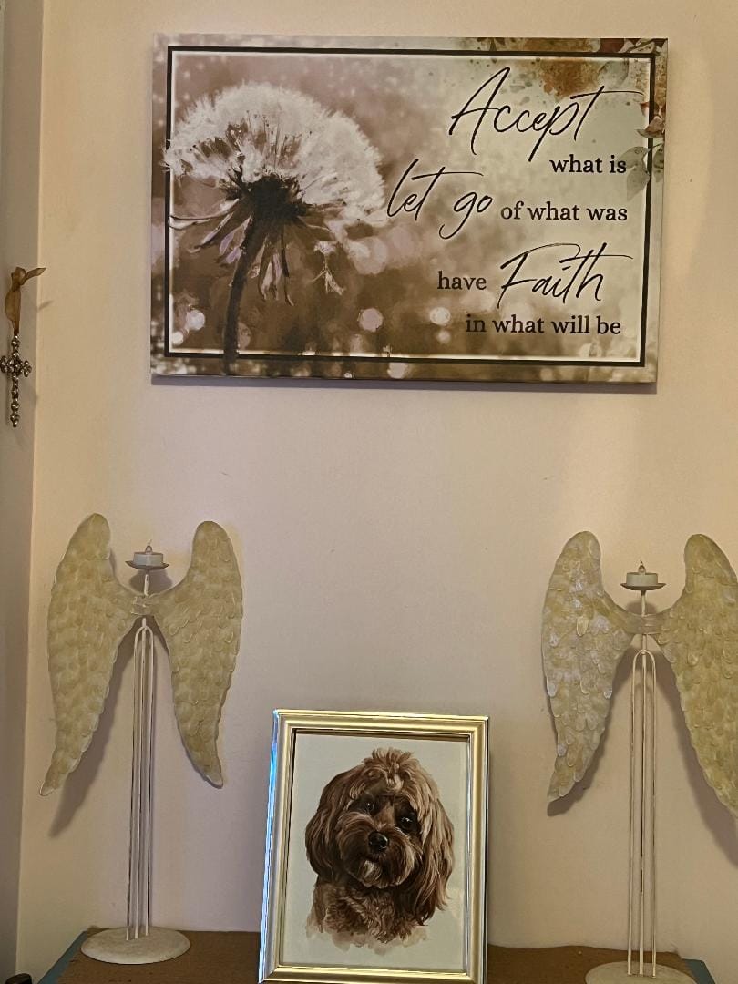 Customer photo review of Christian Wall Art - Accept What Is Let Go Of What Was Canvas
