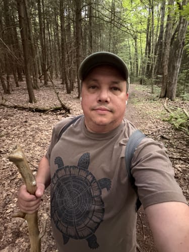 Customer's Old Growth T-Shirt in brown featuring a turtle print, worn by reviewer on a forest hiking trail.