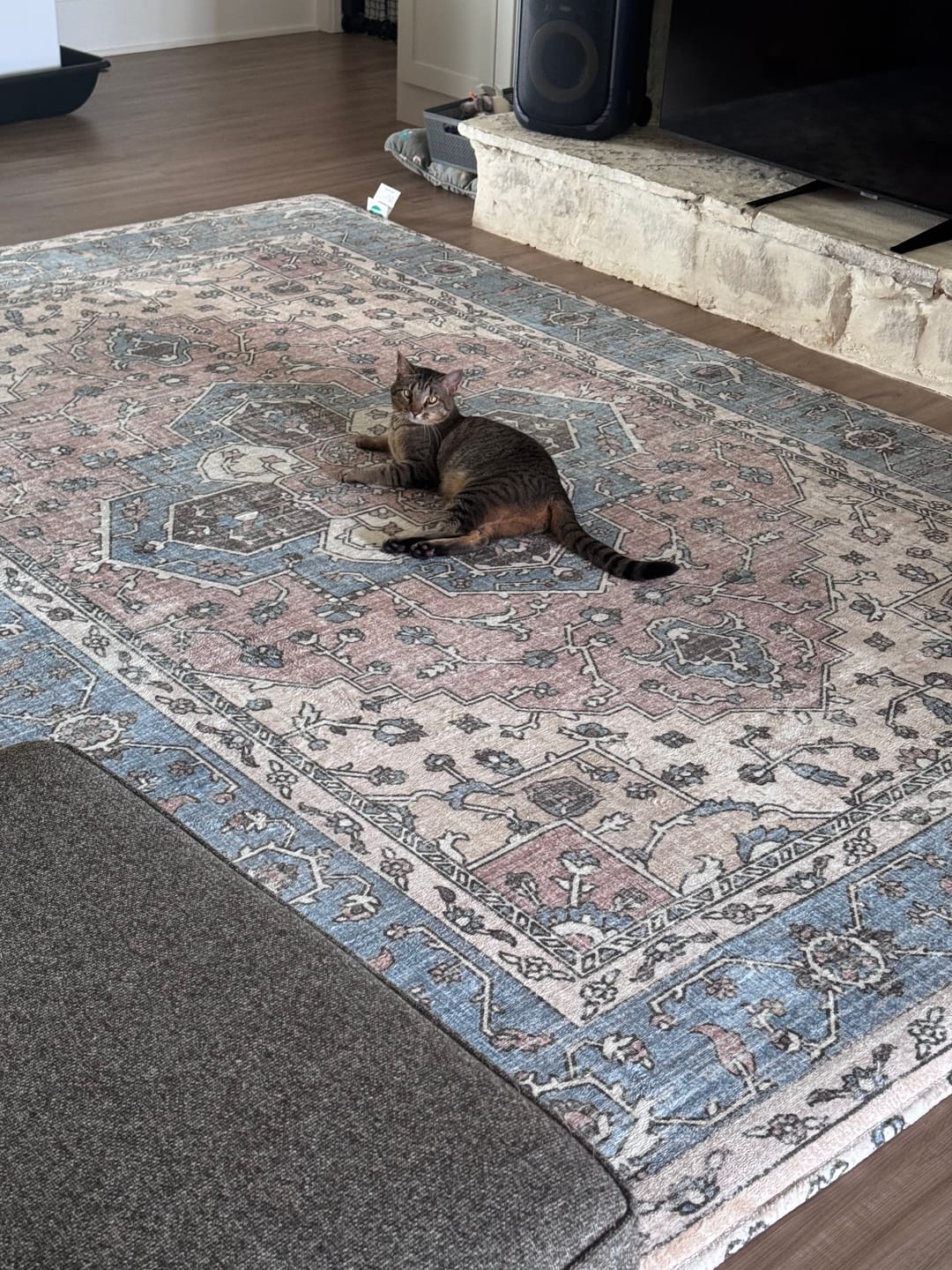 Customer photo review of Designer Relax Mat - 1.4" Thick Foam Base
