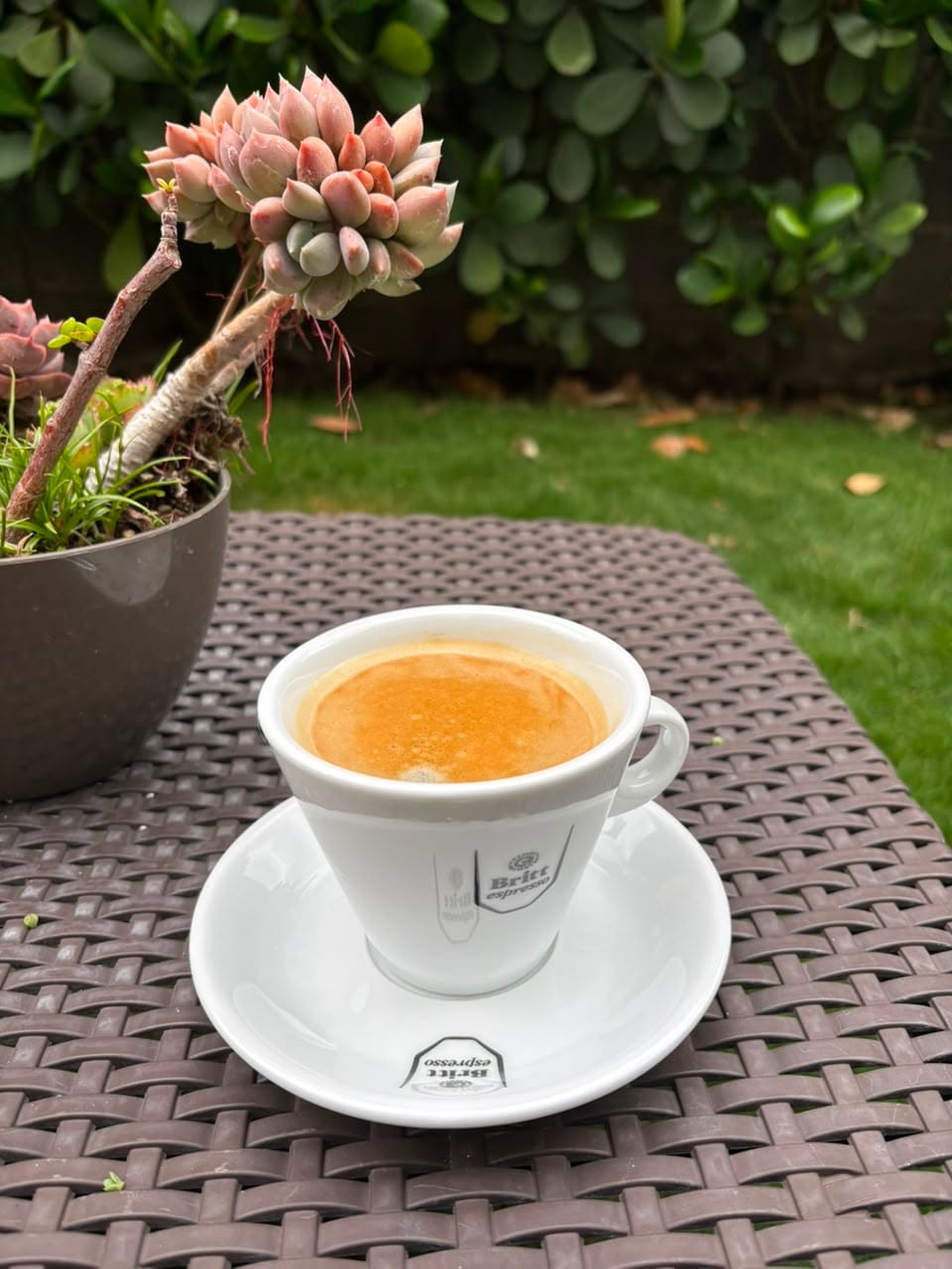 Customer photo review of Set de Dos Tazas de Cerámica para Capuccino Britt Espresso