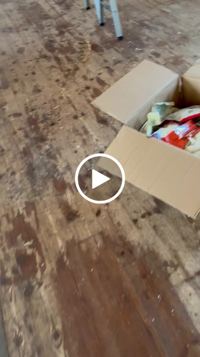 Customer video review of Råhudstyggegodbidder til hunde, 400 g