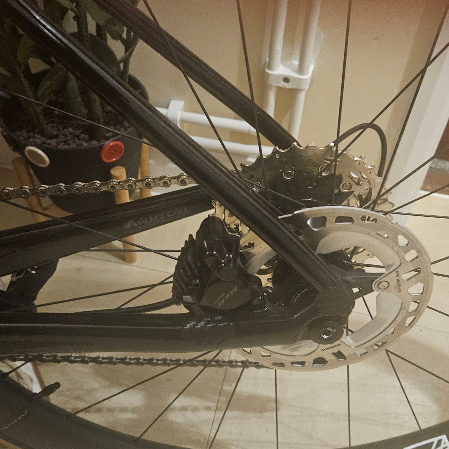 Customer photo review of Shimano RT-MT800 Ice Tech Freeza Centre Lock Disc Rotor