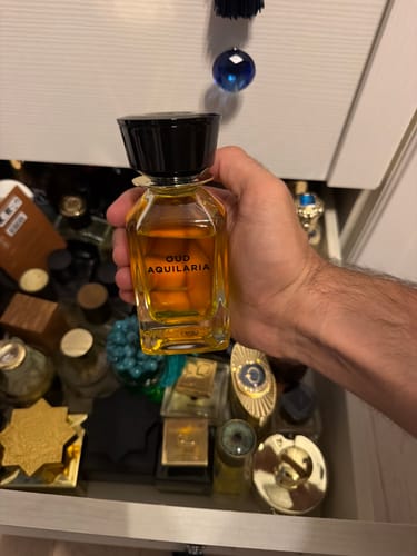 Reviewer's hand holding a glass bottle of Oud Aquilaria perfume over a drawer filled with various other fragrance bottles.