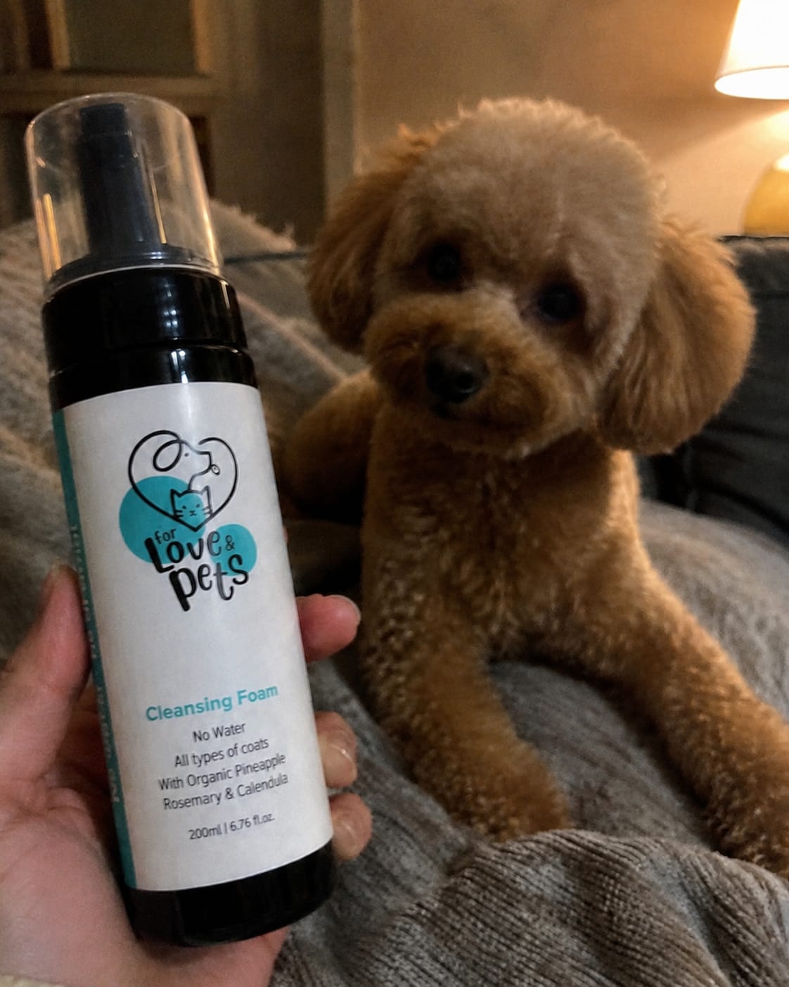 Customer photo review of Αφρός Καθαρισμού Χωρίς Νερό για Σκύλους & Γάτες - Καθαρό Τρίχωμα Χωρίς Μπάνιο