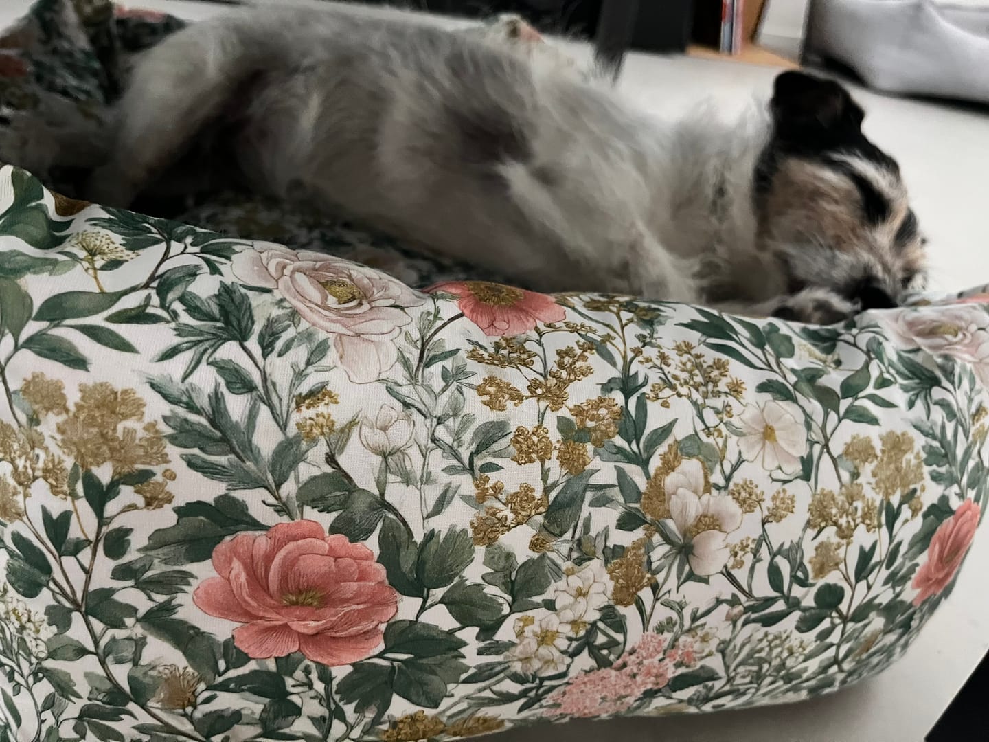 Customer photo review of Divanetto Cotone Floreale Magnolia Fiorita