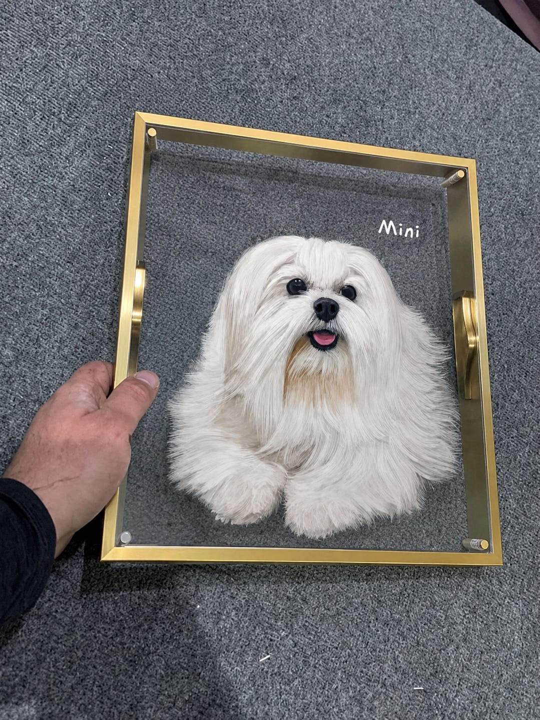 Customer photo review of 3D Hand-drawn Pet Portraits - Two Pets