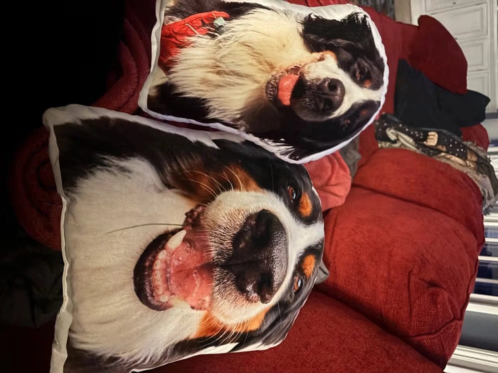 Customer photo review of Custom Photo Pillow for College & Back to School – Personalized Shaped Hug Pillow