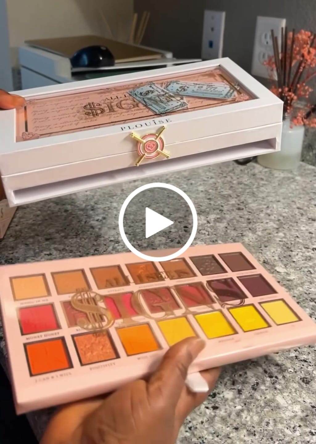 Kundvideorecension av All I See Is $igns 42 Pan Eyeshadow Palette
