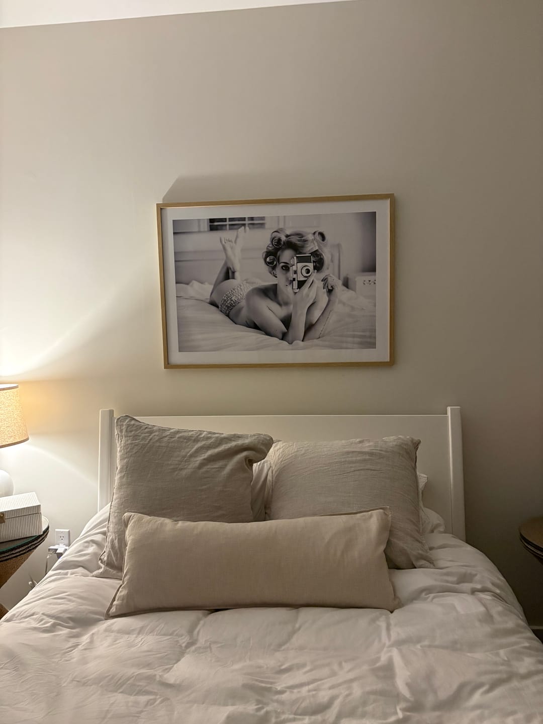 Customer photo review of Vintage Camera Poster