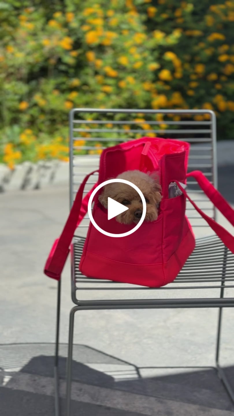 Customer video review of Rouge Berry Pet Tote Bag — Limited edition