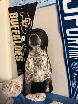 Customer photo review of Custom Photo Pillow for College & Back to School – Personalized Shaped Hug Pillow