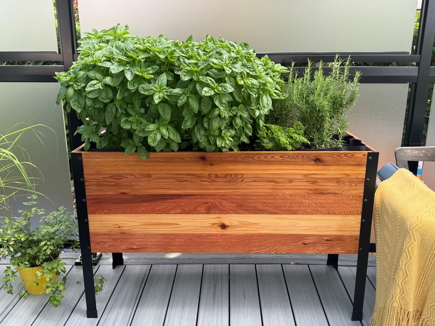 Customer photo review of 18" x 48" Raised Garden Bed - 30" TALL - Select Grade
