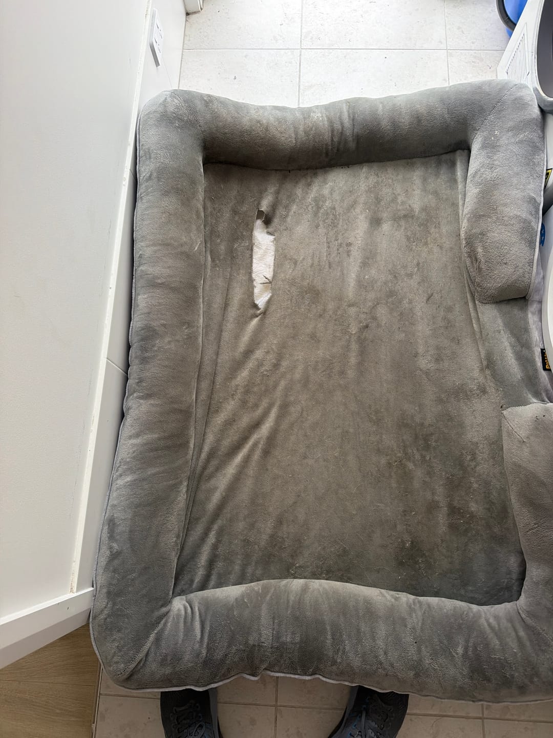 Customer photo review of Memory Foam Pet Sofa Bed