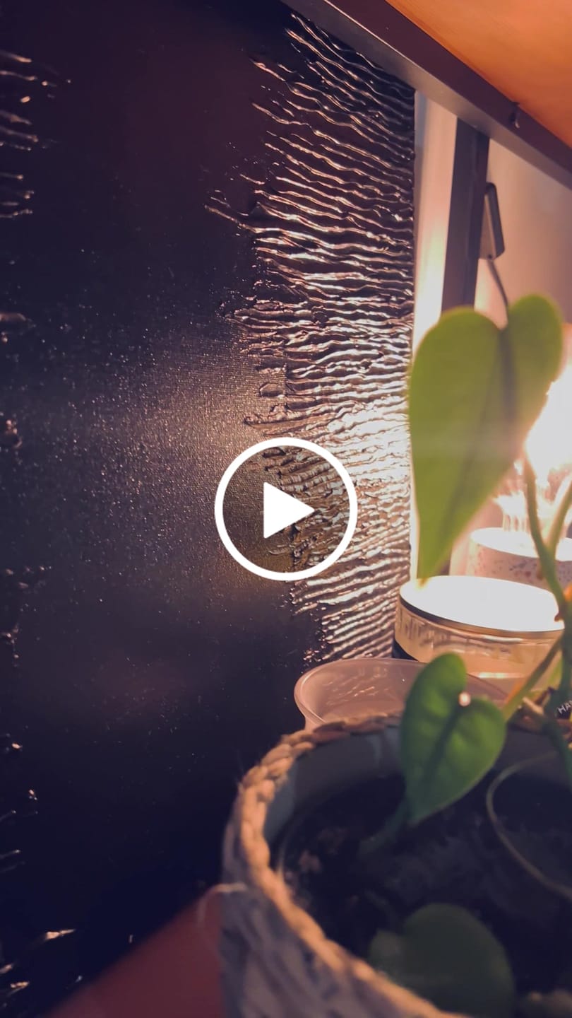 Customer video review of Gathering Bush Medicine Original Painting