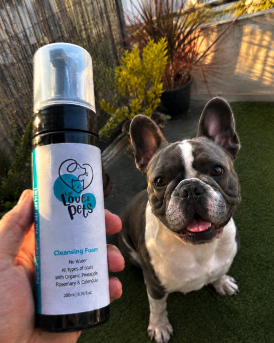 Customer photo review of Αφρός Καθαρισμού Χωρίς Νερό για Σκύλους & Γάτες - Καθαρό Τρίχωμα Χωρίς Μπάνιο